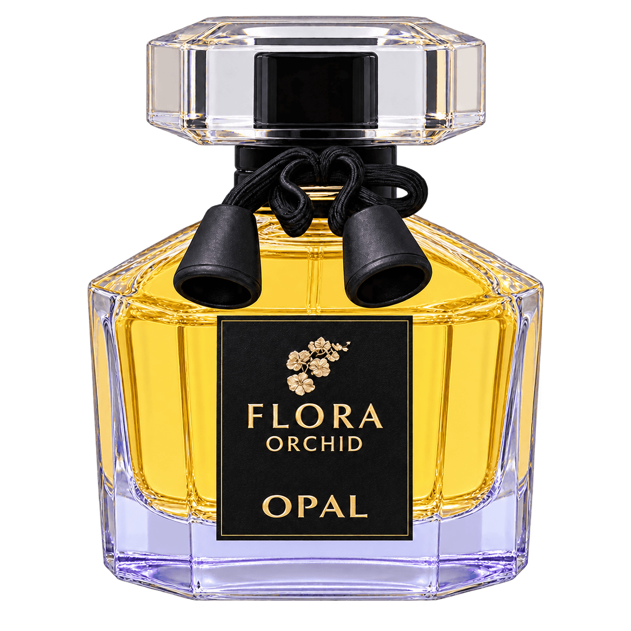 FLORA ORCHID