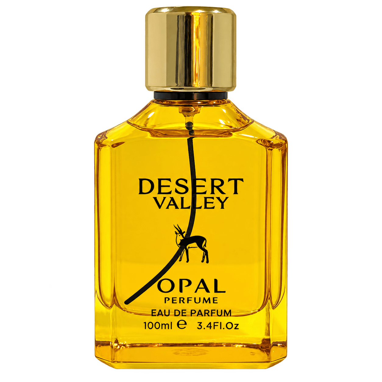 DESERT VALLEY